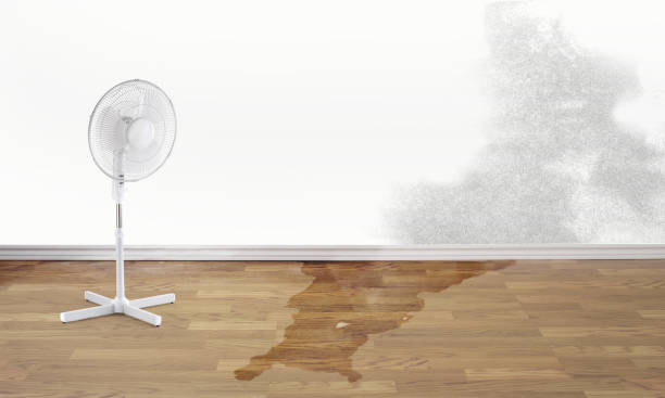 Best Flood restoration services  in Sumner, IA