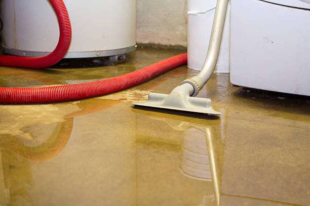 Best Residential water damage restoration  in Sumner, IA