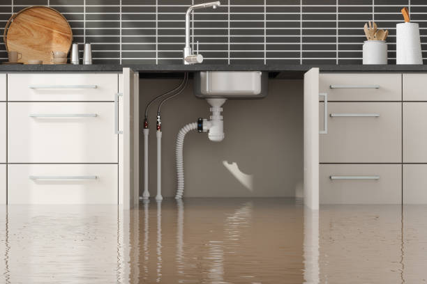 Best 24/7 water damage repair  in Sumner, IA