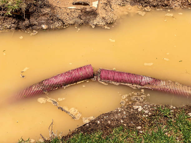 Best Water damage restoration cost  in Sumner, IA